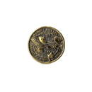 Battle of Kyiv - Challenge Coin (Recycled Artillery Shells) - Saint Javelin