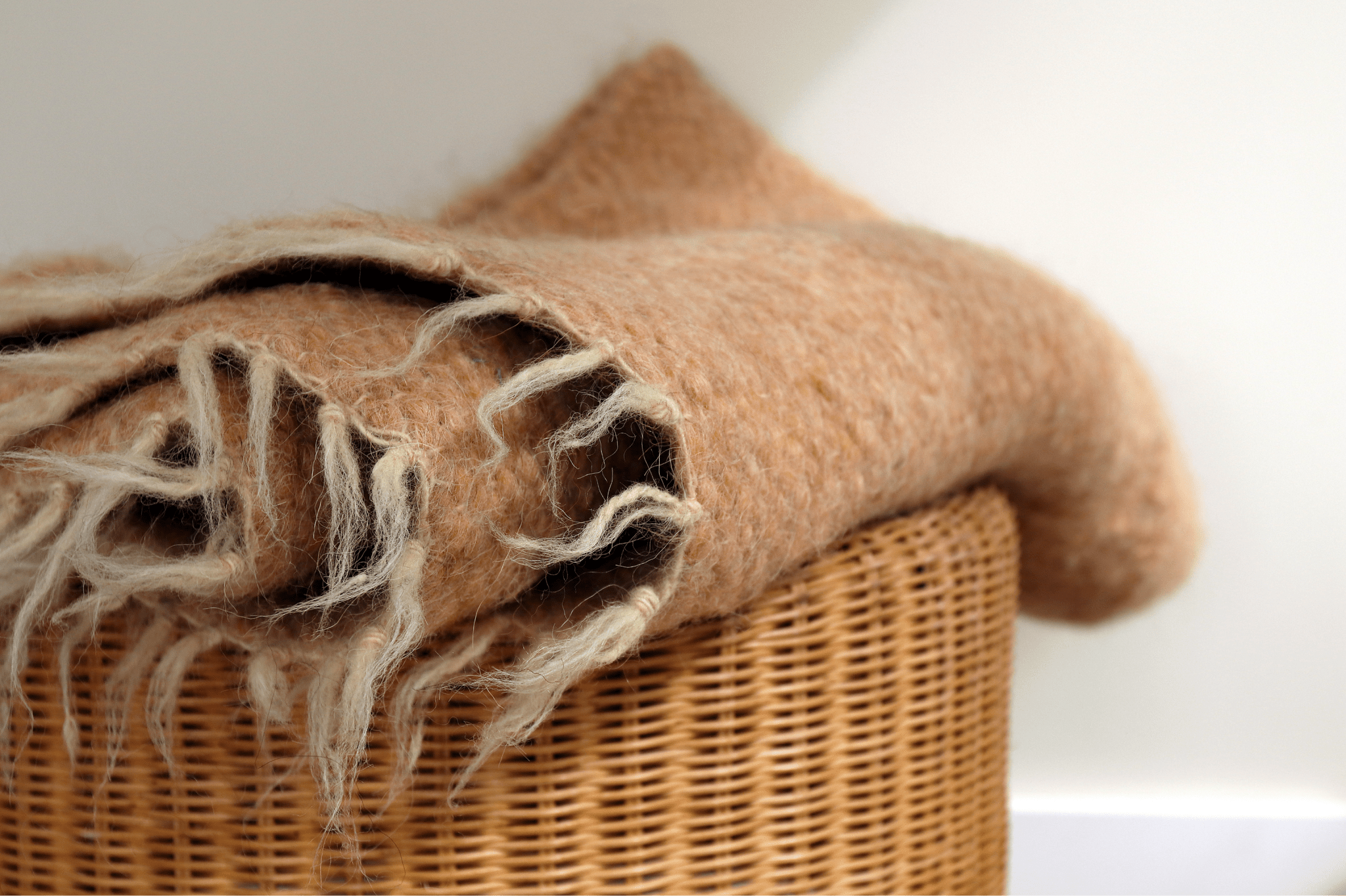 YAREMA - Wool Rug from Karpaty - Saint Javelin